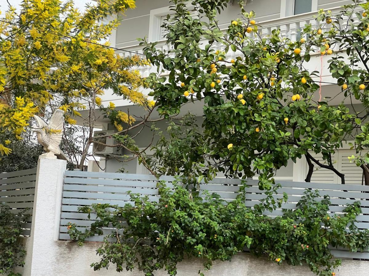 Apartments & Studios Ardian-Mandi Sarande-Albania Sarandë Exterior foto